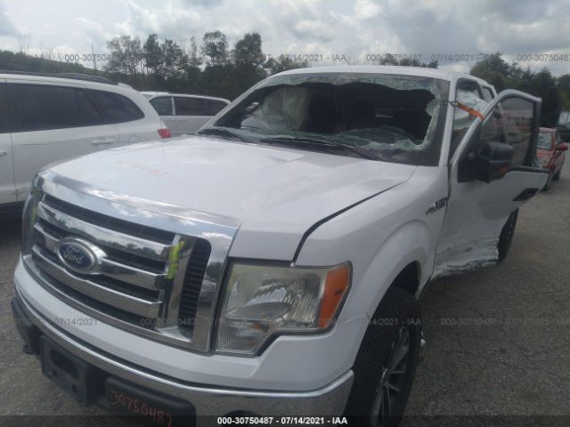 Photo 5 VIN: 1FTFX1EF3BFB04894 - FORD F-150 