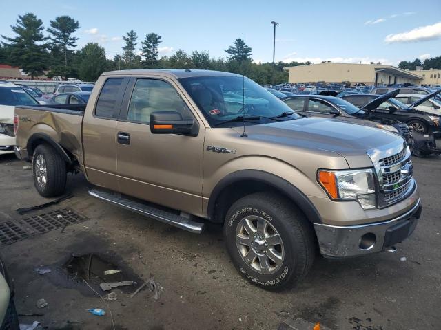 Photo 3 VIN: 1FTFX1EF3DFC23855 - FORD F150 SUPER 