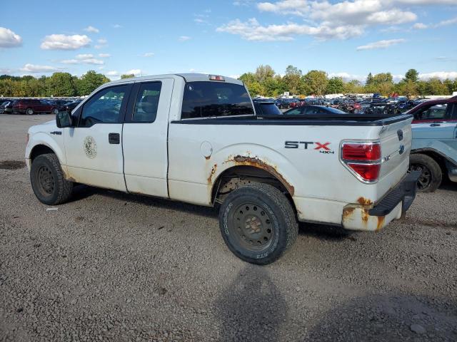 Photo 1 VIN: 1FTFX1EF3DFC24097 - FORD F150 SUPER 