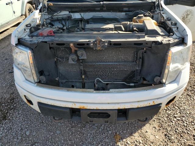 Photo 10 VIN: 1FTFX1EF3DFC24097 - FORD F150 SUPER 