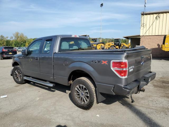 Photo 1 VIN: 1FTFX1EF3DFC45547 - FORD F150 