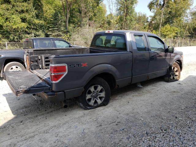 Photo 2 VIN: 1FTFX1EF3DFD78731 - FORD F150 SUPER 