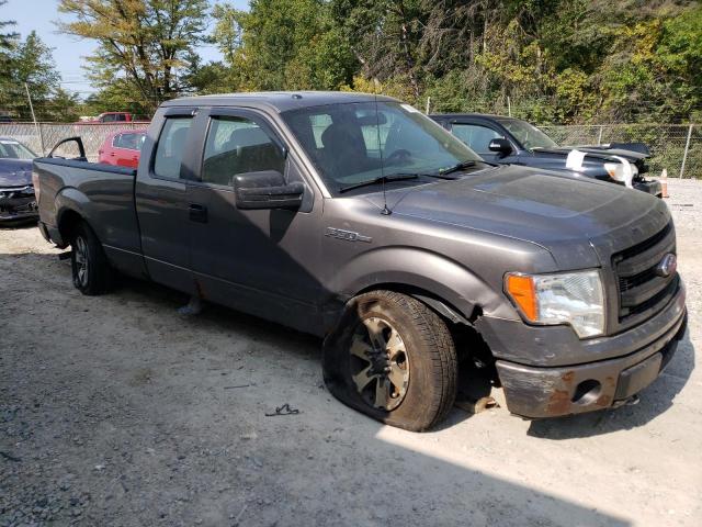 Photo 3 VIN: 1FTFX1EF3DFD78731 - FORD F150 SUPER 