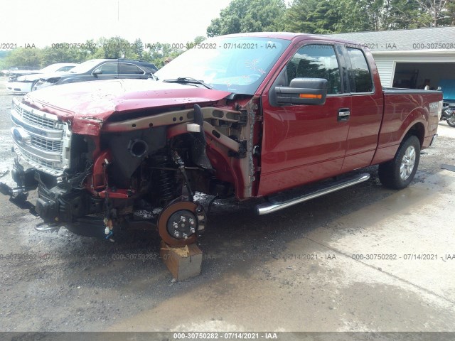 Photo 1 VIN: 1FTFX1EF3DFD97523 - FORD F-150 