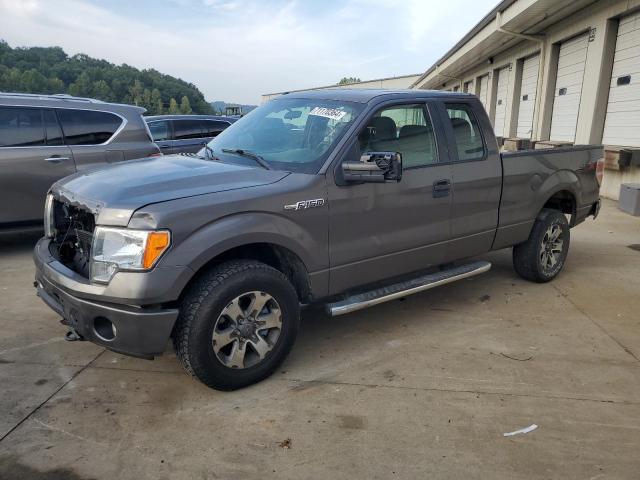 Photo 0 VIN: 1FTFX1EF3DKE09676 - FORD F150 SUPER 