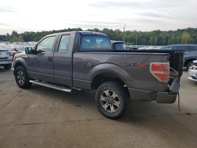 Photo 1 VIN: 1FTFX1EF3DKE09676 - FORD F150 SUPER 