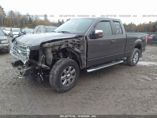 Photo 1 VIN: 1FTFX1EF3EFC38731 - FORD F-150 