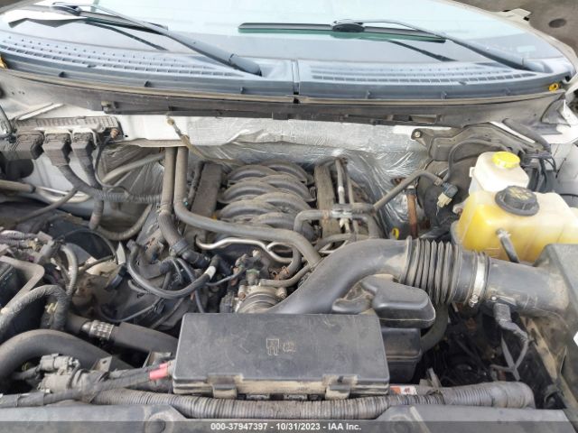 Photo 9 VIN: 1FTFX1EF3EKF81000 - FORD F-150 