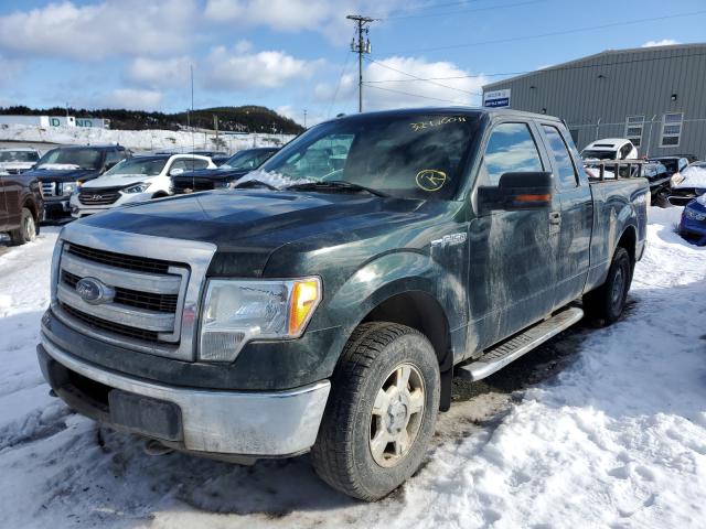 Photo 1 VIN: 1FTFX1EF4DFA95996 - FORD F150 SUPER 