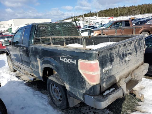 Photo 2 VIN: 1FTFX1EF4DFA95996 - FORD F150 SUPER 