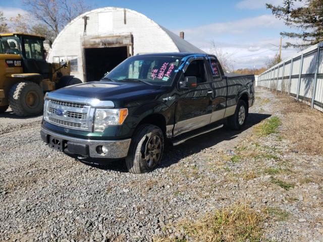 Photo 1 VIN: 1FTFX1EF4DFC37747 - FORD F150 SUPER 