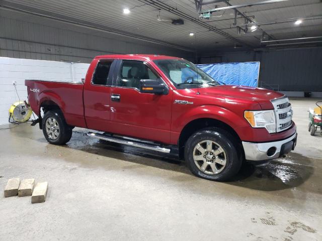 Photo 3 VIN: 1FTFX1EF4DKG53319 - FORD F-150 