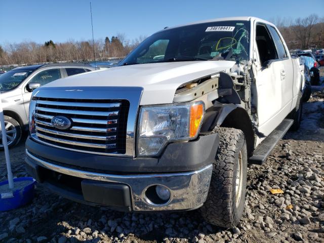 Photo 1 VIN: 1FTFX1EF5DFA28372 - FORD F150 SUPER 