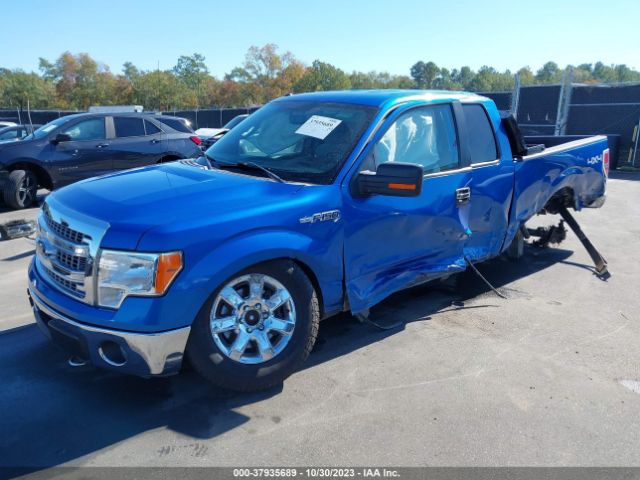 Photo 1 VIN: 1FTFX1EF5DFD90525 - FORD F-150 