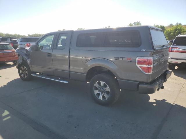 Photo 1 VIN: 1FTFX1EF5DFE04665 - FORD F150 SUPER 