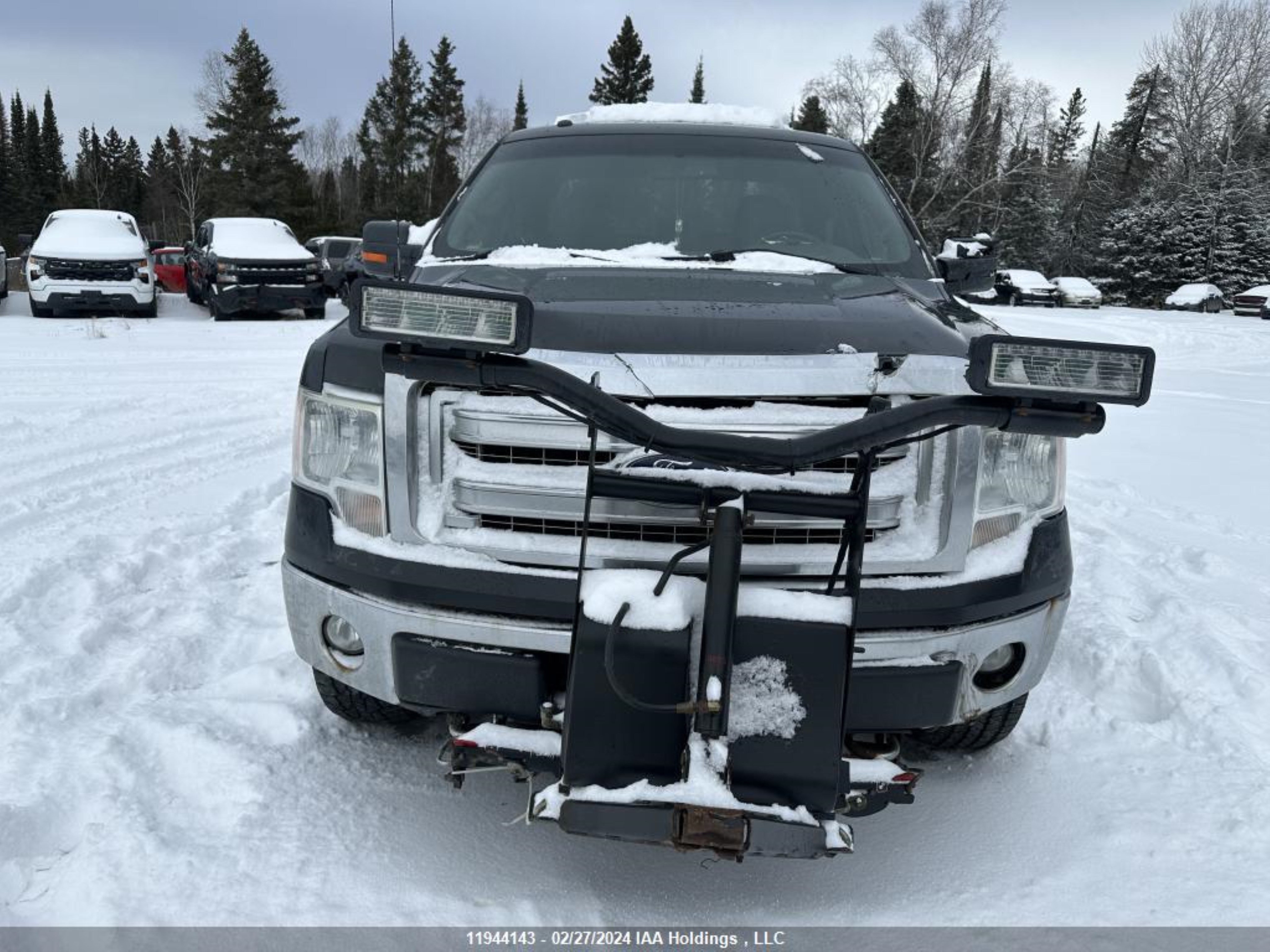 Photo 6 VIN: 1FTFX1EF5EFA64595 - FORD F-150 