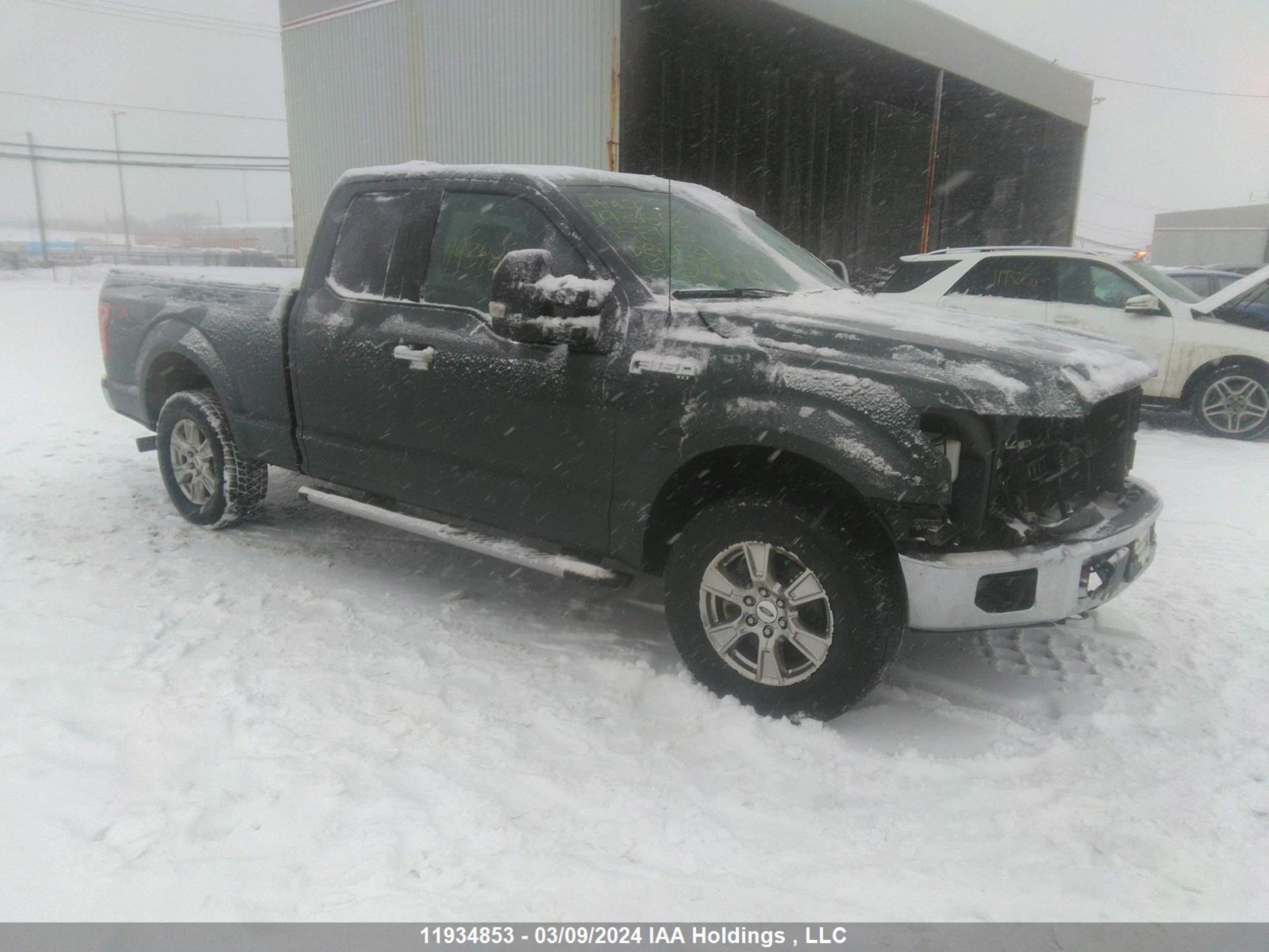 Photo 0 VIN: 1FTFX1EF5FKD85531 - FORD F-150 