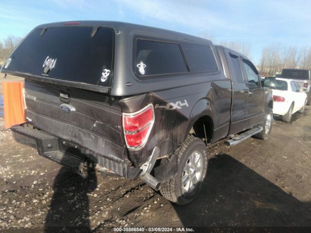 Photo 3 VIN: 1FTFX1EF6EFC64546 - FORD F-150 