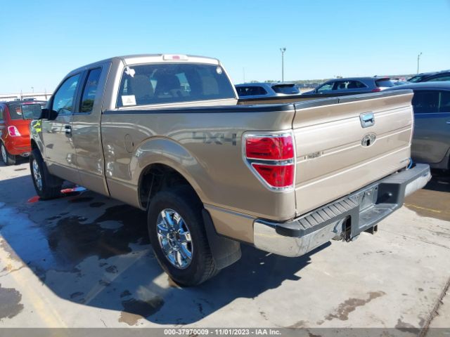 Photo 2 VIN: 1FTFX1EF7DFB98734 - FORD F-150 