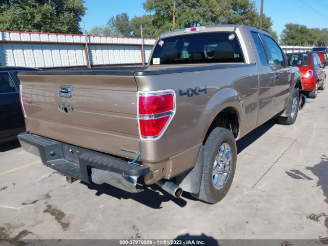 Photo 3 VIN: 1FTFX1EF7DFB98734 - FORD F-150 