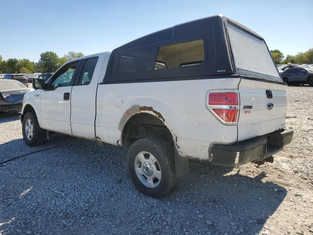 Photo 1 VIN: 1FTFX1EF7DFC70399 - FORD F150 SUPER 