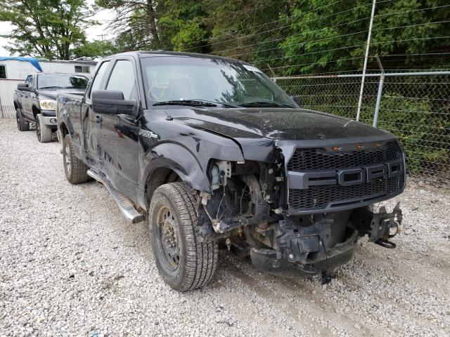 Photo 0 VIN: 1FTFX1EF7DFE04666 - FORD F150 SUPER 