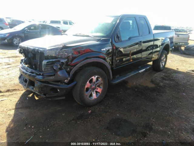 Photo 1 VIN: 1FTFX1EF7DKE09731 - FORD F-150 