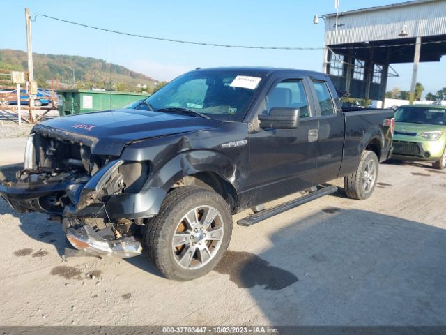 Photo 1 VIN: 1FTFX1EF7EKD24082 - FORD F-150 