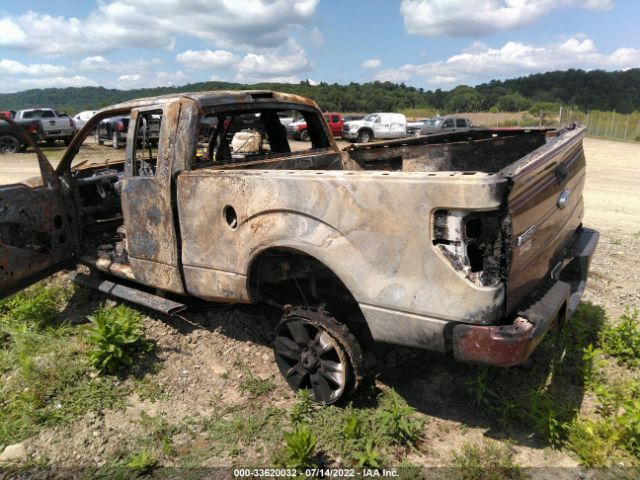 Photo 2 VIN: 1FTFX1EF7EKF03349 - FORD F-150 