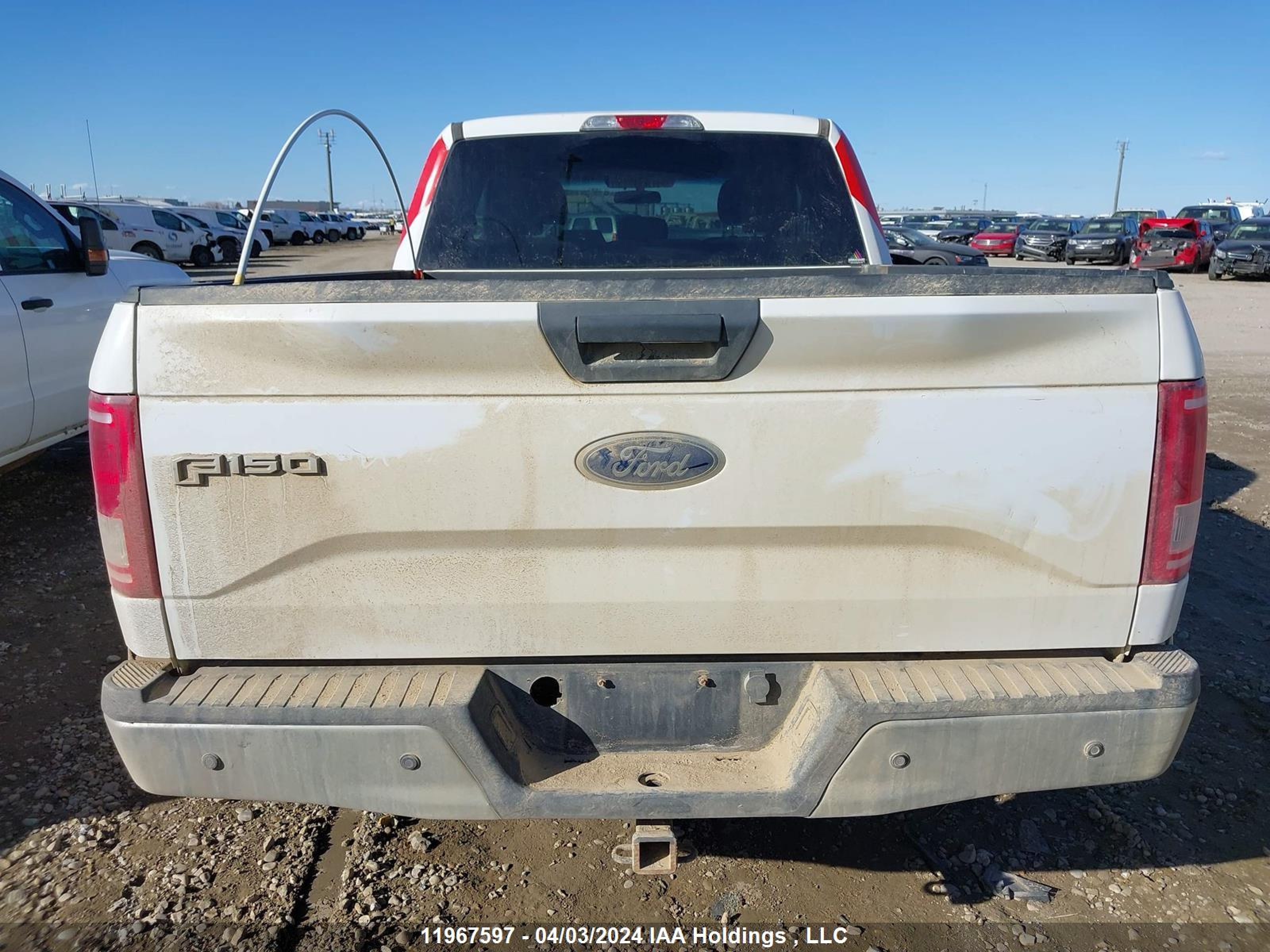 Photo 16 VIN: 1FTFX1EF7HFC23461 - FORD F-150 