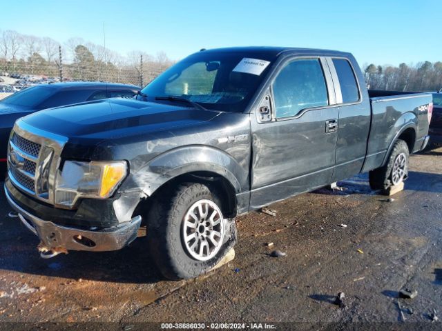 Photo 1 VIN: 1FTFX1EF8BFA08419 - FORD F-150 