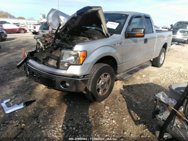 Photo 1 VIN: 1FTFX1EF8BFC63930 - FORD F-150 