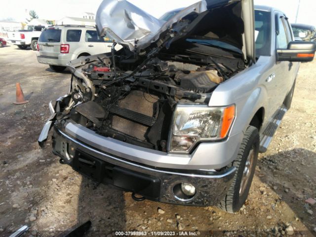 Photo 5 VIN: 1FTFX1EF8BFC63930 - FORD F-150 