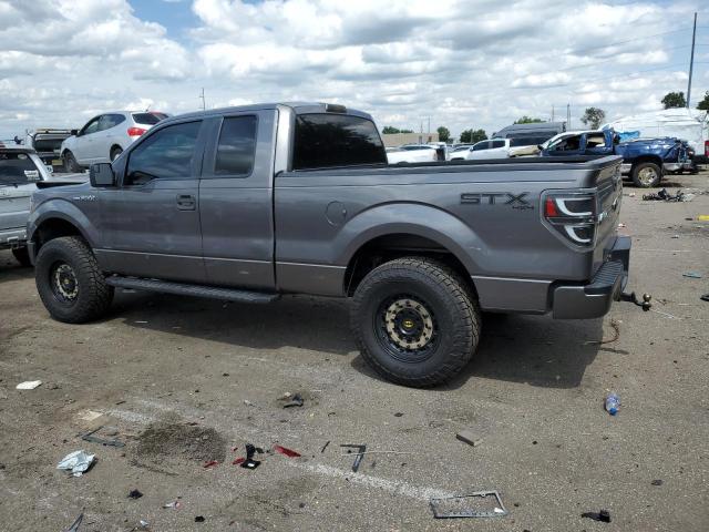 Photo 1 VIN: 1FTFX1EF8DFA74407 - FORD F 150 