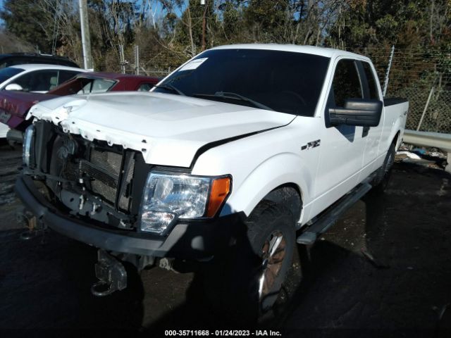 Photo 1 VIN: 1FTFX1EF8DKE35576 - FORD F-150 