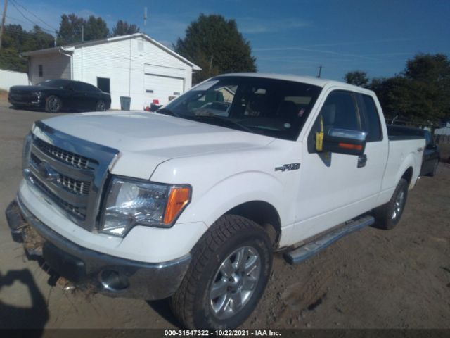 Photo 1 VIN: 1FTFX1EF8EFB29343 - FORD F-150 