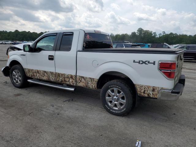 Photo 1 VIN: 1FTFX1EF9DFB65654 - FORD F150 SUPER 