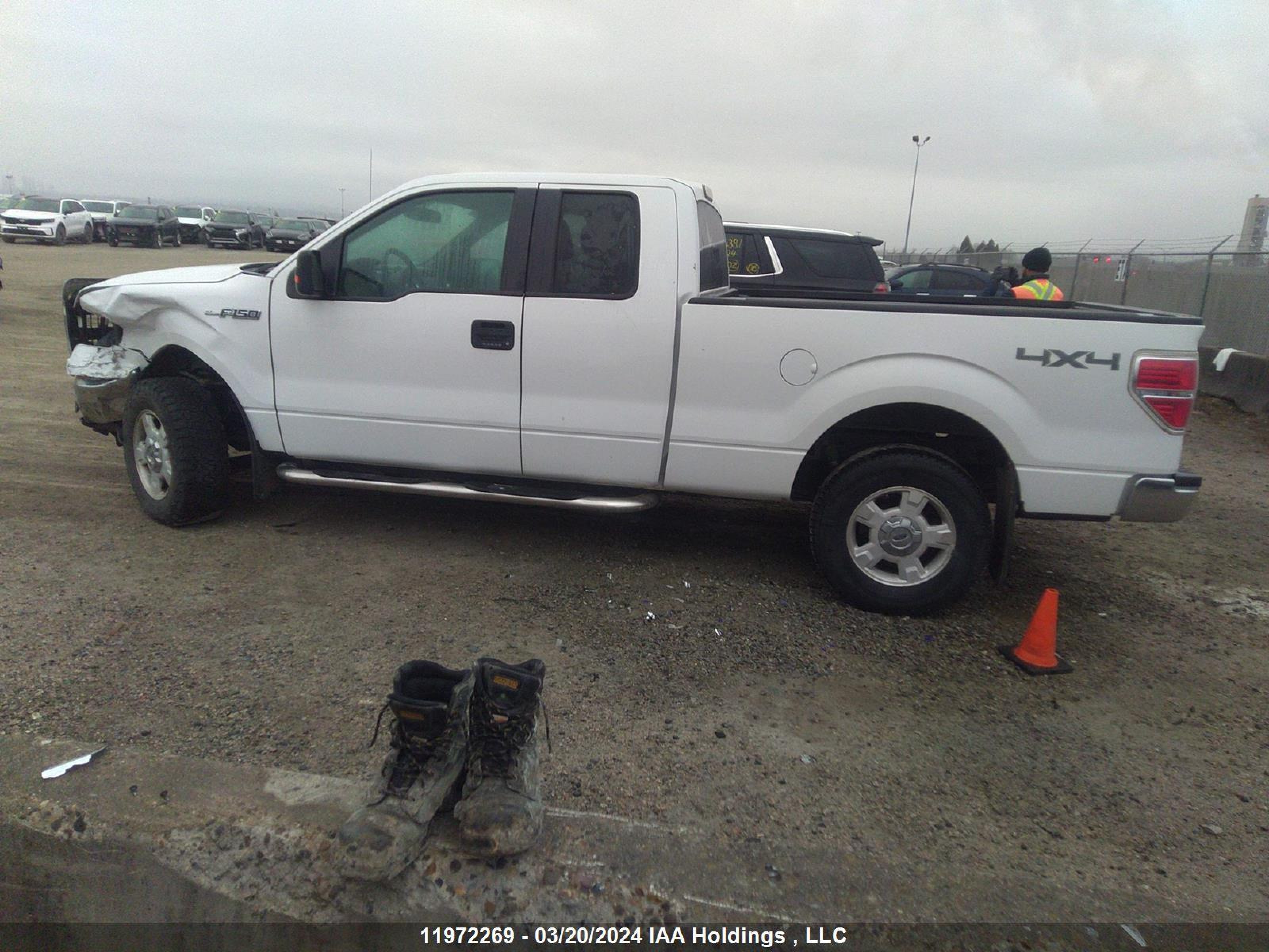 Photo 13 VIN: 1FTFX1EF9DFC59694 - FORD F-150 