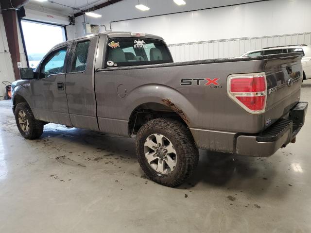 Photo 1 VIN: 1FTFX1EF9DFC75474 - FORD F150 SUPER 