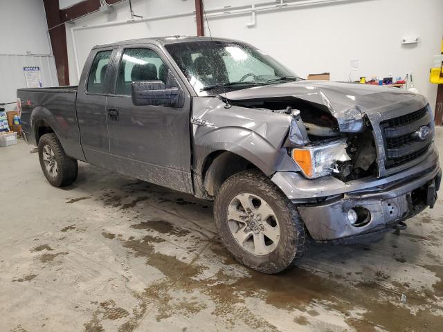 Photo 3 VIN: 1FTFX1EF9DFC75474 - FORD F150 SUPER 