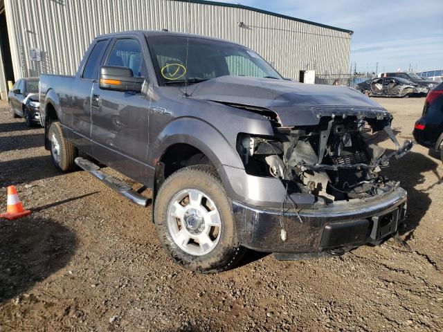 Photo 0 VIN: 1FTFX1EF9DFD59150 - FORD F150 SUPER 