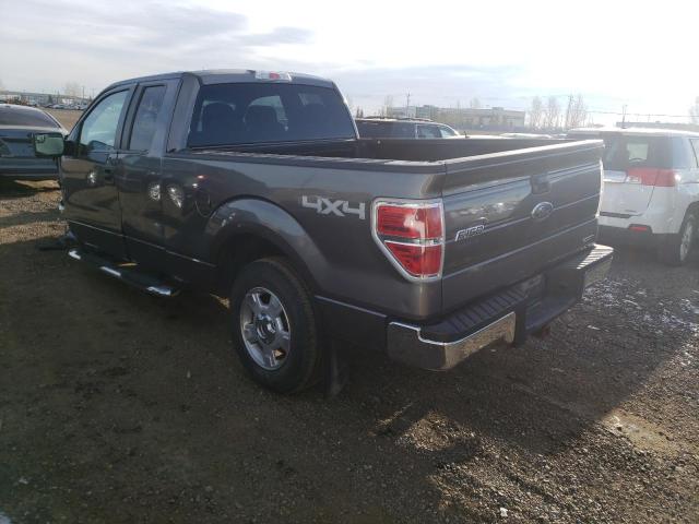 Photo 2 VIN: 1FTFX1EF9DFD59150 - FORD F150 SUPER 