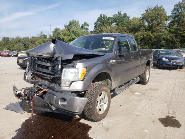 Photo 1 VIN: 1FTFX1EF9DFD97655 - FORD F150 SUPER 