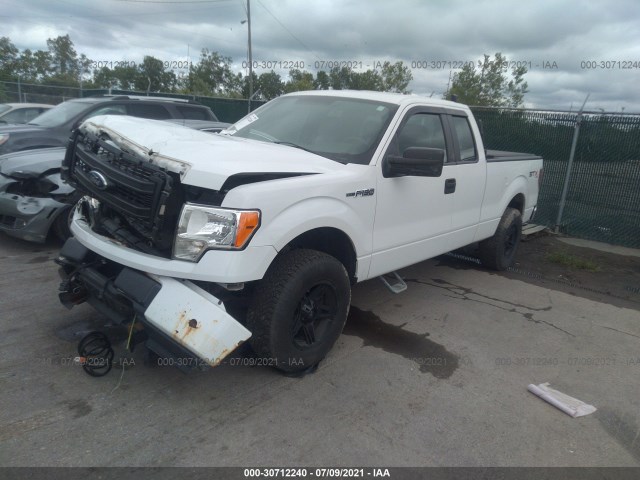 Photo 1 VIN: 1FTFX1EF9DKF03061 - FORD F-150 