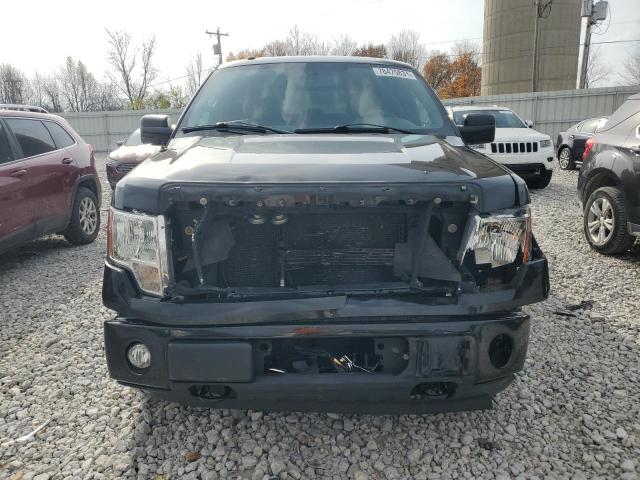 Photo 4 VIN: 1FTFX1EF9EFC68171 - FORD F150 SUPER 