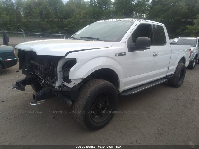 Photo 1 VIN: 1FTFX1EF9HFA30020 - FORD F-150 