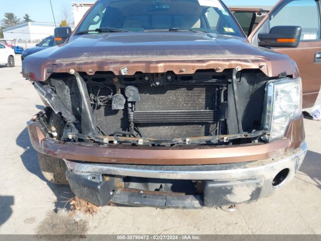 Photo 5 VIN: 1FTFX1EFXBFA23259 - FORD F-150 