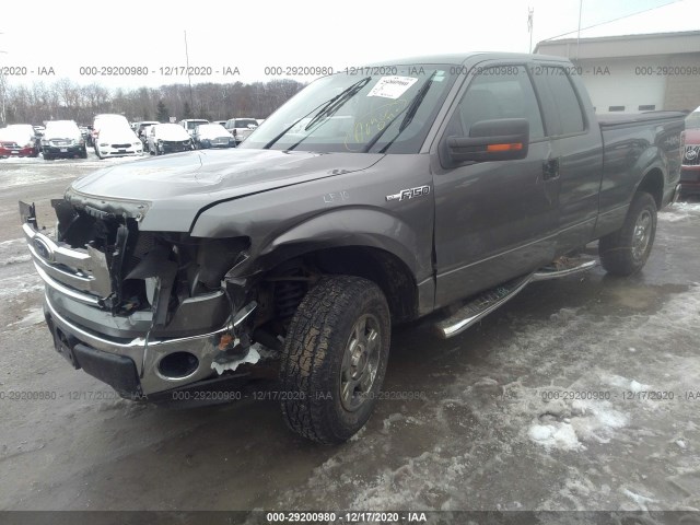 Photo 1 VIN: 1FTFX1EFXBFB10174 - FORD F-150 