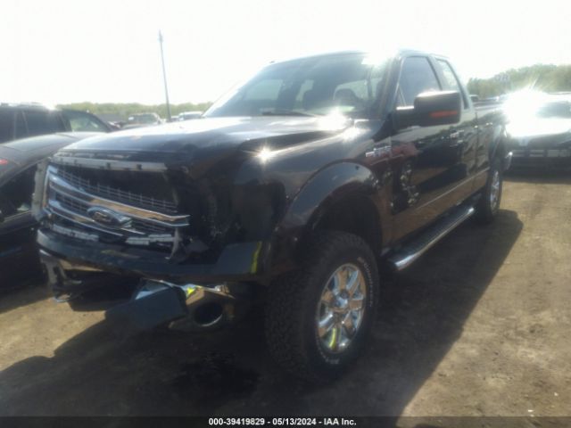 Photo 1 VIN: 1FTFX1EFXDFB74475 - FORD F-150 