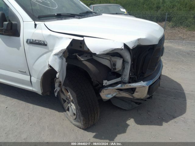 Photo 5 VIN: 1FTFX1EG6FFB98770 - FORD F150 